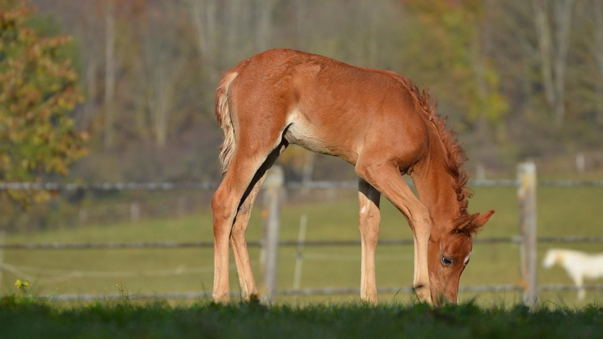 A Simple Daily Routine for Keeping a Stable Clean