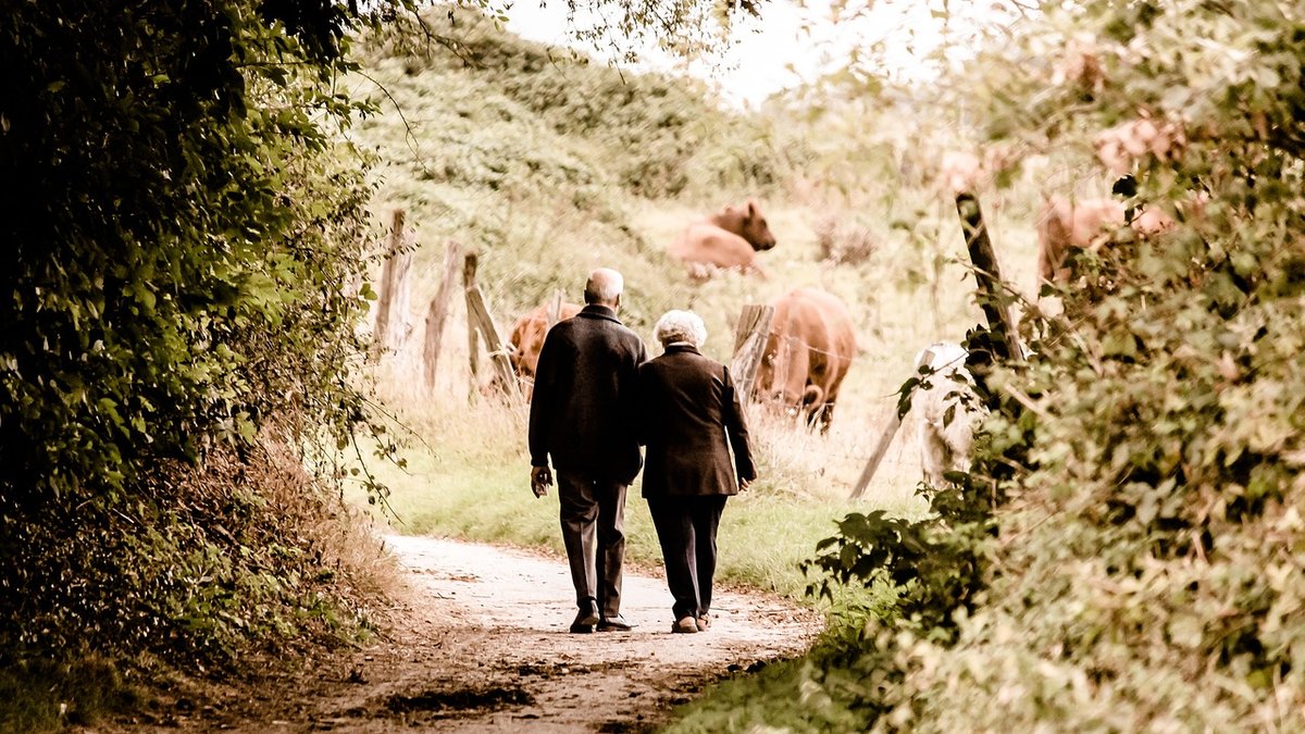 Beginner's Guide to Safe Hacking on Country Lanes