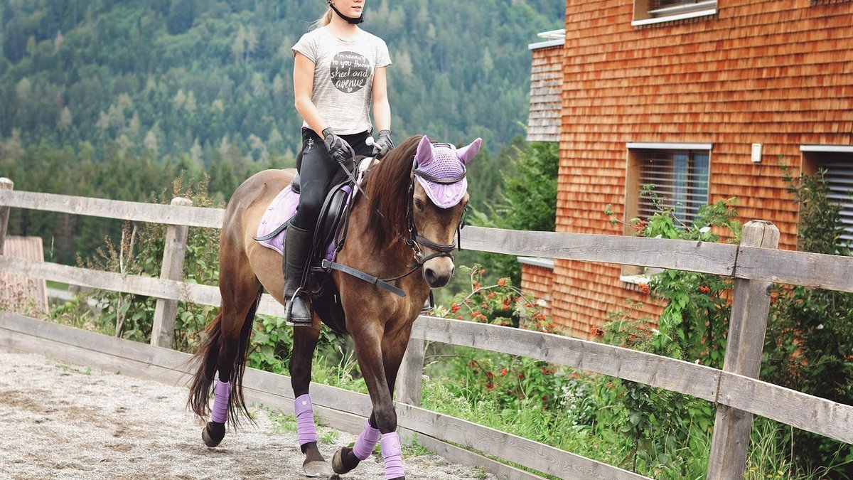 Guide to Fitting a Turnout Rug Correctly