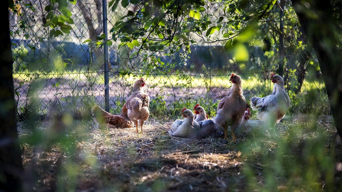 Preparing Your Rural Home for Winter Weather